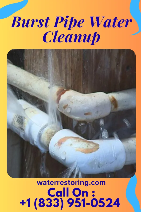 Burst Pipe Water Cleanup in Prairie City, IA