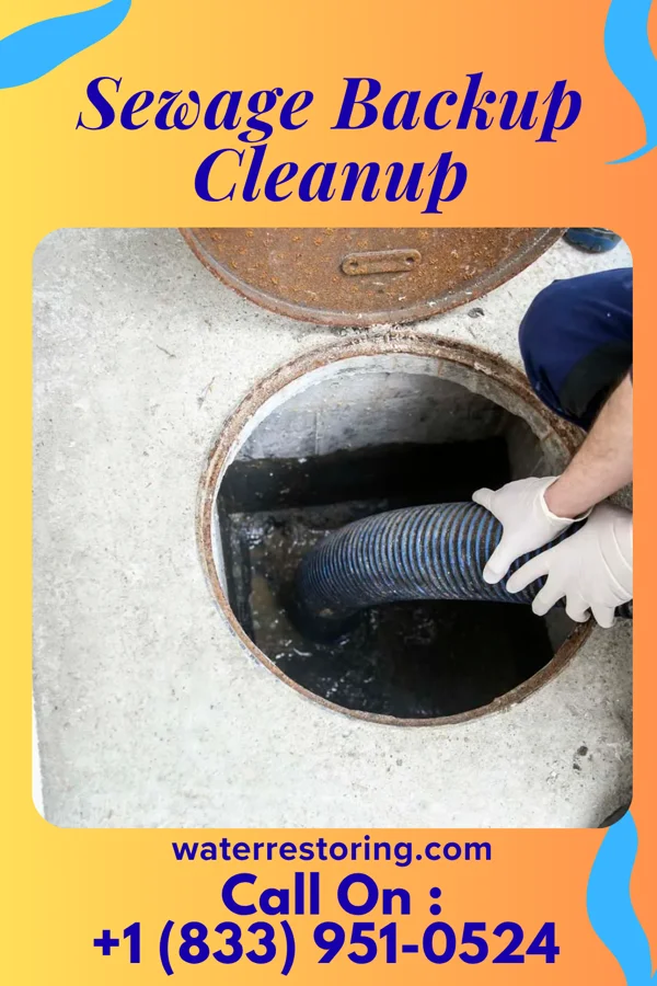 Sewage Backup Cleanup in Prairie City, IA